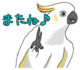 8632213