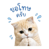 863221618