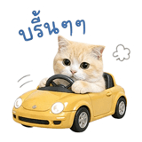 863221631