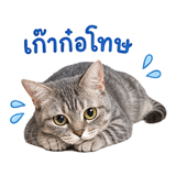 863221638