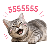863221642