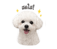 863222335