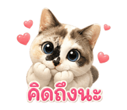 863223339