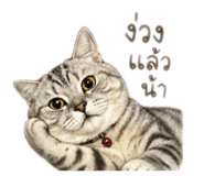 863224420