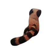 863227856