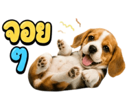 863234268