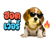 863234272