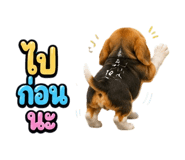 863234295