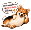 863234373