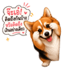 863234376