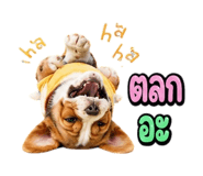 863234777