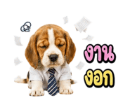 863234780