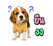 863234792