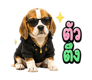 863234811