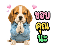 863234813
