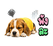 863234815