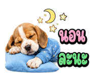 863234972