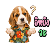 863234981