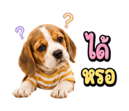 863234986