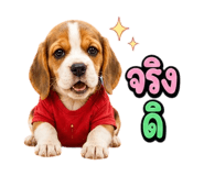 863234987