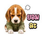 863234989
