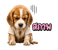 863234993