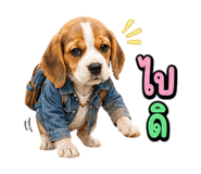 863234996