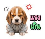 863234999