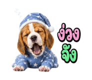863235001