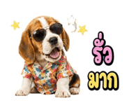 863235008