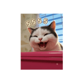863236085