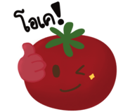 863237029