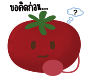 863237035