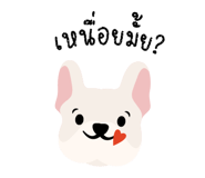 863238028
