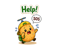 863238617