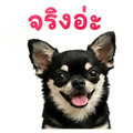 863238777