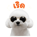 863238804