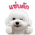 863238934
