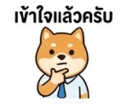 863239004