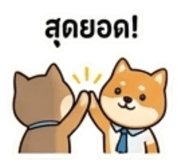 863239035