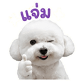863239165