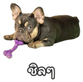 863243499