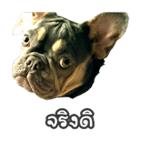 863243502