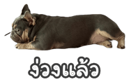 863243503