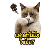 863245092