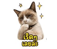 863245094