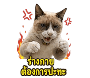 863245095