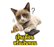 863245096