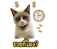 863245099