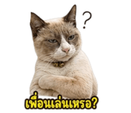 863245103